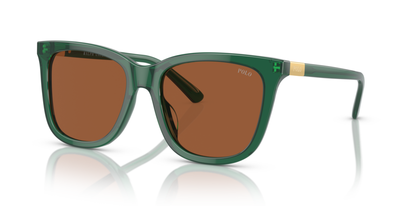 Polo PH4201U  Sunglasses