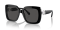 Swarovski SK6001  Sunglasses