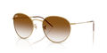 Ray-Ban RBR0103S Round Reverse Sunglasses