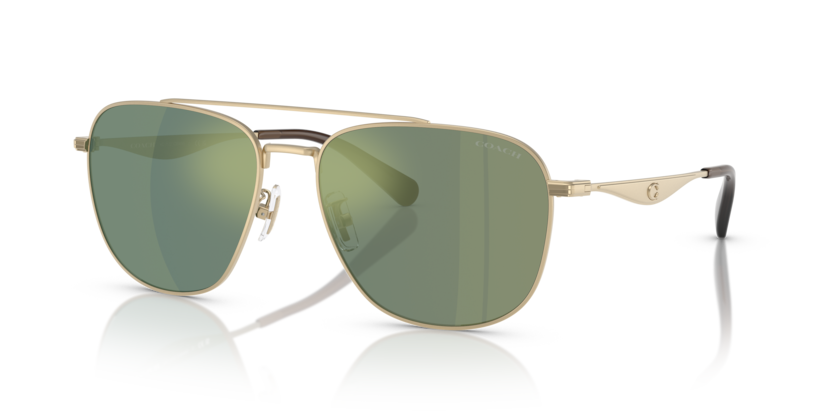 Coach HC7172 Cw404 Sunglasses