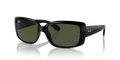 Ray-Ban RB4389  Sunglasses
