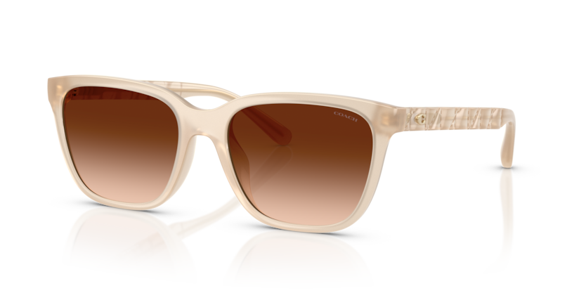 Coach HC8429D Cae86 Sunglasses