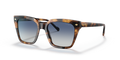 Vogue VO5380S  Sunglasses