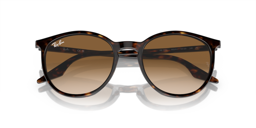 Ray-Ban RB2204  Sunglasses