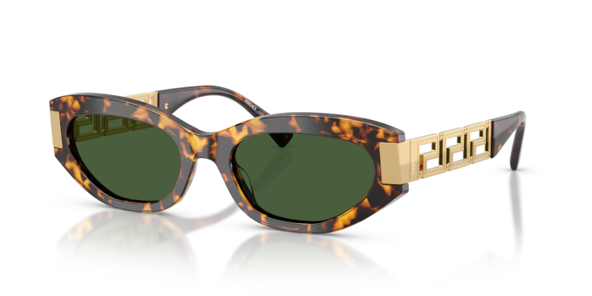 Versace VE4501  Sunglasses