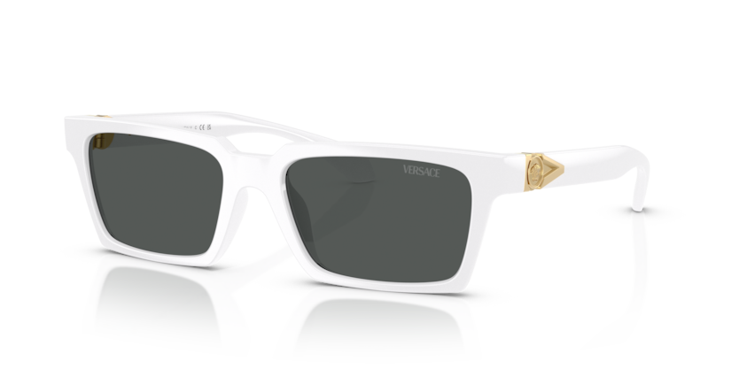 Versace VE4490U  Sunglasses