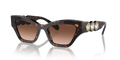 Swarovski SK6021  Sunglasses