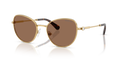 Swarovski SK7032  Sunglasses