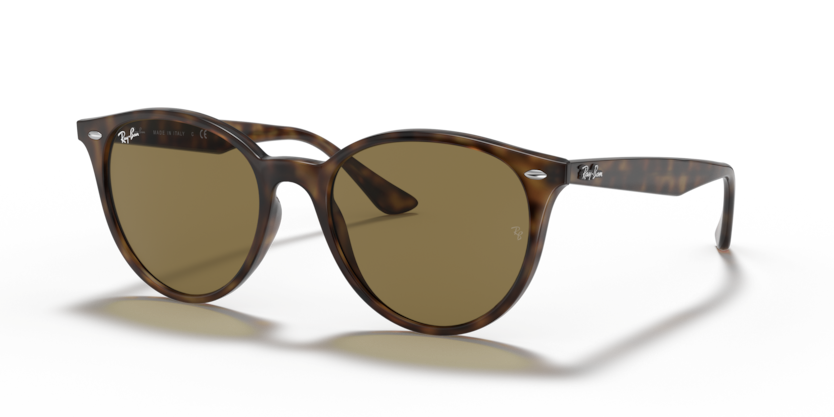 Ray-Ban RB4305  Sunglasses