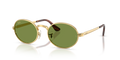 Ray-Ban RB3931  Sunglasses