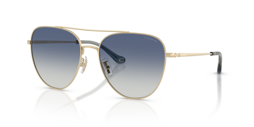 Coach HC7182 Cbz89 Sunglasses