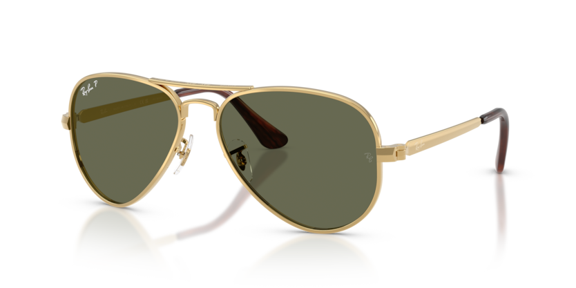 Ray-Ban RB3925 Aviator Max Sunglasses