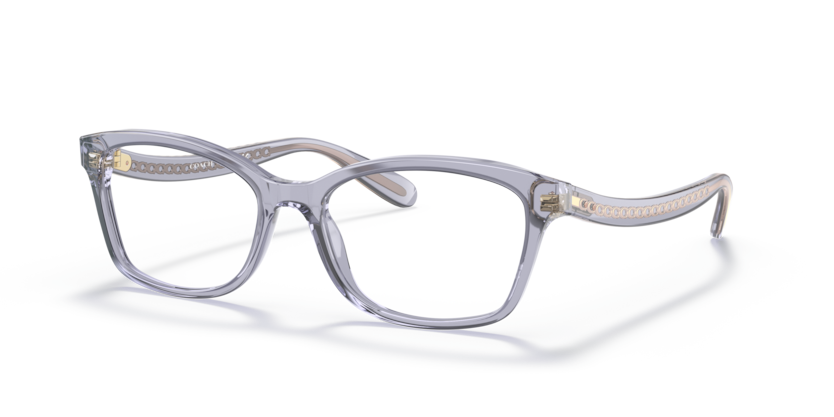 Coach HC6181  Eyeglasses