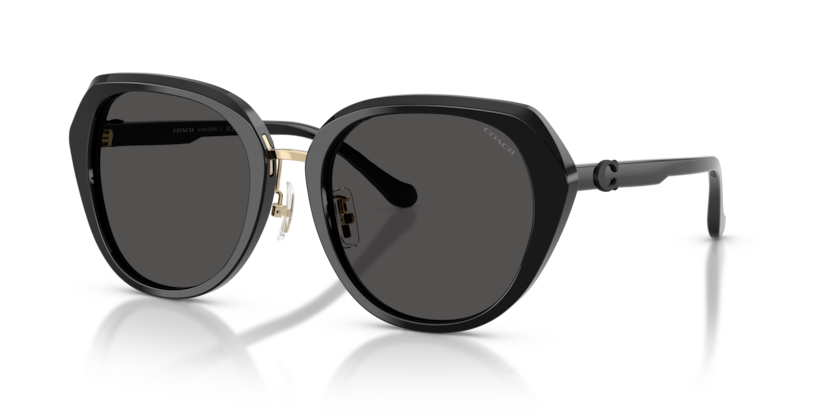 Coach HC8436 Cby93 Sunglasses