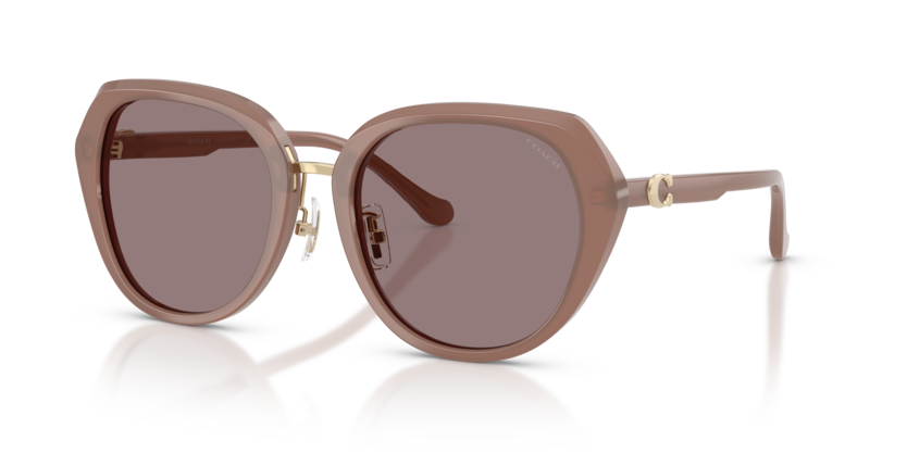 Coach HC8436 Cby93 Sunglasses