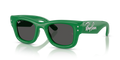 Ray-Ban RB4940B Wayfarer Puffer Sunglasses