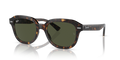 Ray-Ban RB4398 Erik Sunglasses