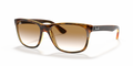 Ray-Ban RB4181 Rb4181 Sunglasses