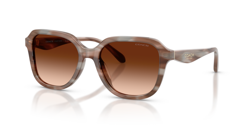 Coach HC8437F Cby89 Sunglasses