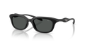 Diesel DL3013U  Sunglasses