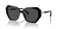 Swarovski SK6017  Sunglasses