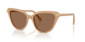 Swarovski SK6039  Sunglasses