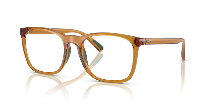 Polo PH2281U  Eyeglasses