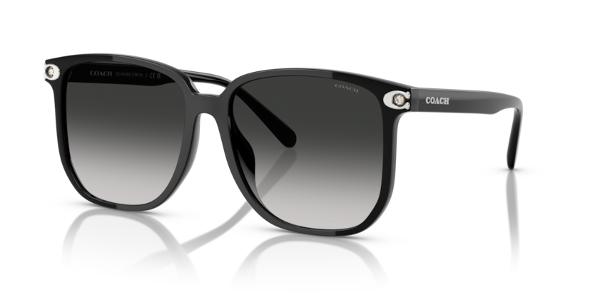 Coach HC8413BD Cw419 Sunglasses