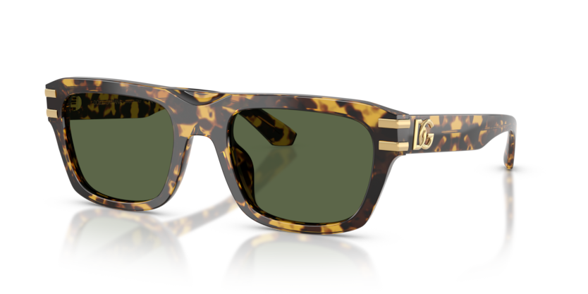 Dolce & Gabbana DG4496  Sunglasses
