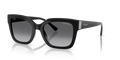 Vogue VO5613SB  Sunglasses
