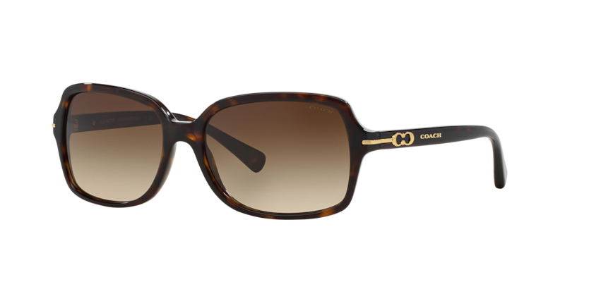 Coach HC8116 L087 Blair Sunglasses