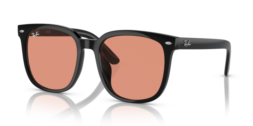Ray-Ban RB4401D  Sunglasses