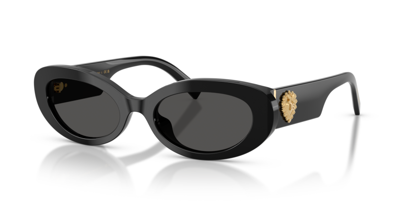 Dolce & Gabbana DG4537  Sunglasses
