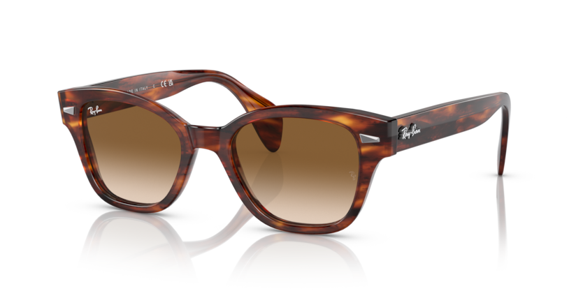 Ray-Ban RB0880S  Sunglasses