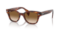 Ray-Ban RB0880S  Sunglasses