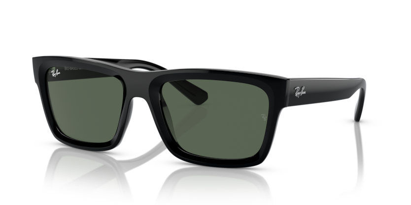 Ray-Ban RB4396 Warren Sunglasses