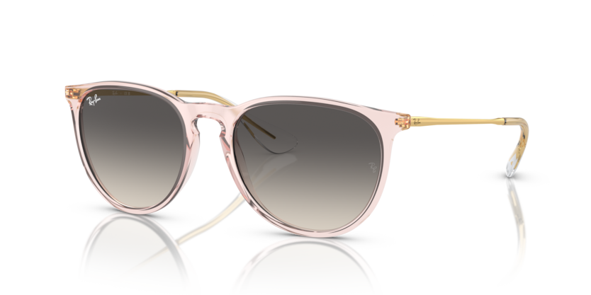 Ray-Ban RB4171 Erika Sunglasses