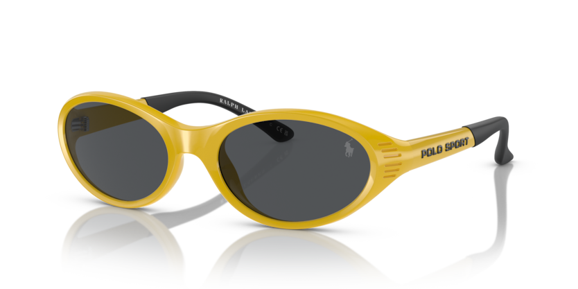 Polo PH4197U  Sunglasses