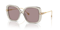 Swarovski SK6011  Sunglasses