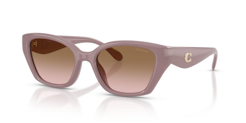 Coach HC8434U Cby91 Sunglasses