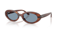 Ray-Ban RB2223F  Sunglasses