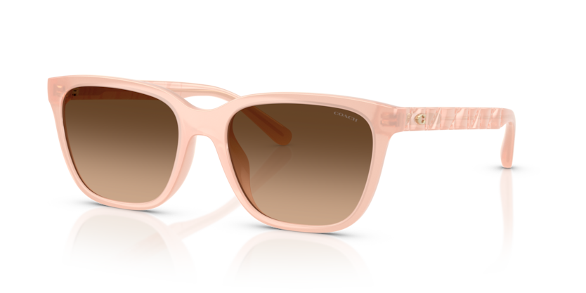 Coach HC8429D Cae86 Sunglasses