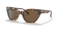 Emporio Armani EA4176  Sunglasses