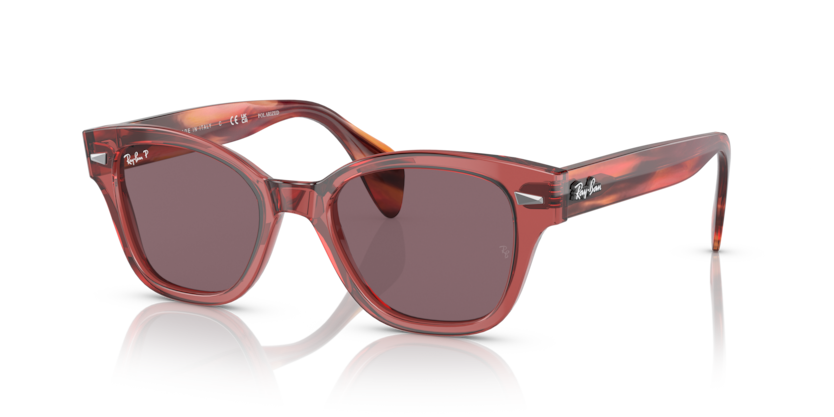 Ray-Ban RB0880S  Sunglasses