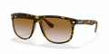 Ray-Ban RB4147 Boyfriend Sunglasses