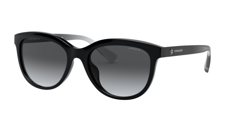 Coach HC8285U L1137 Sunglasses