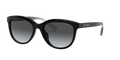 Coach HC8285U L1137 Sunglasses