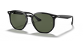 Ray-Ban RB4306  Sunglasses