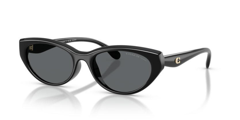 Coach HC8456D Cdp42 Sunglasses
