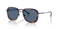 Diesel DL1017  Sunglasses